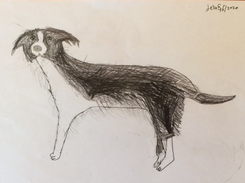 /uploaded_files/media/gallery/1600058934drawing.jpg